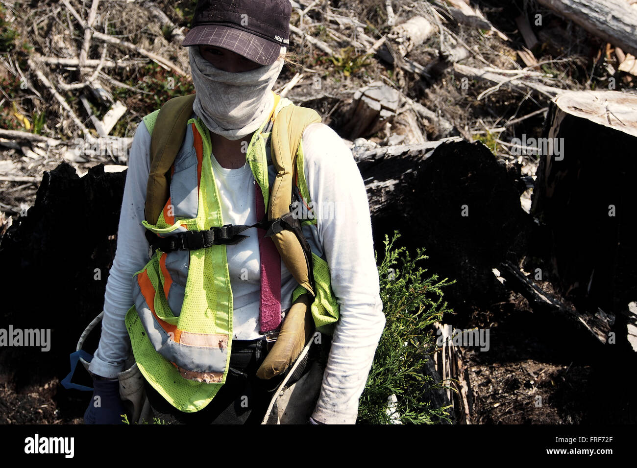 Extreme - 19.05.2012 - Kanada - Jennifer mit einem Schal für den Schutz gegen Ungeziefer, ein absolutes Ärgernis Especiall Pflanzung Stockfoto