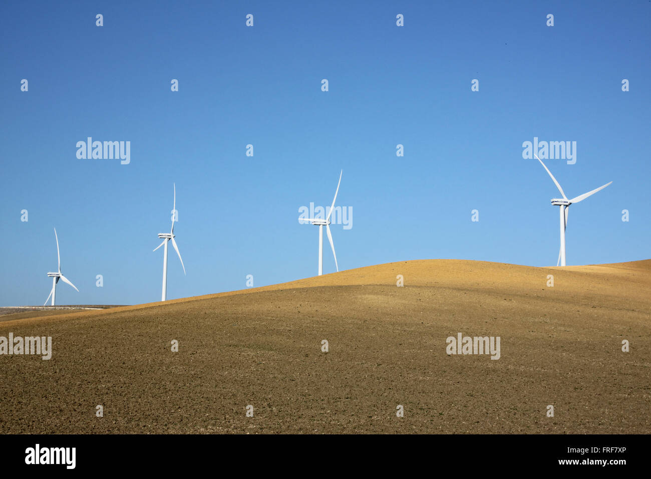 Andalusien, Spanien - 22.02.2012 - Spanien / Andalusien - Windmühle Felder - Sandrine Huet / Le Pictorium Stockfoto