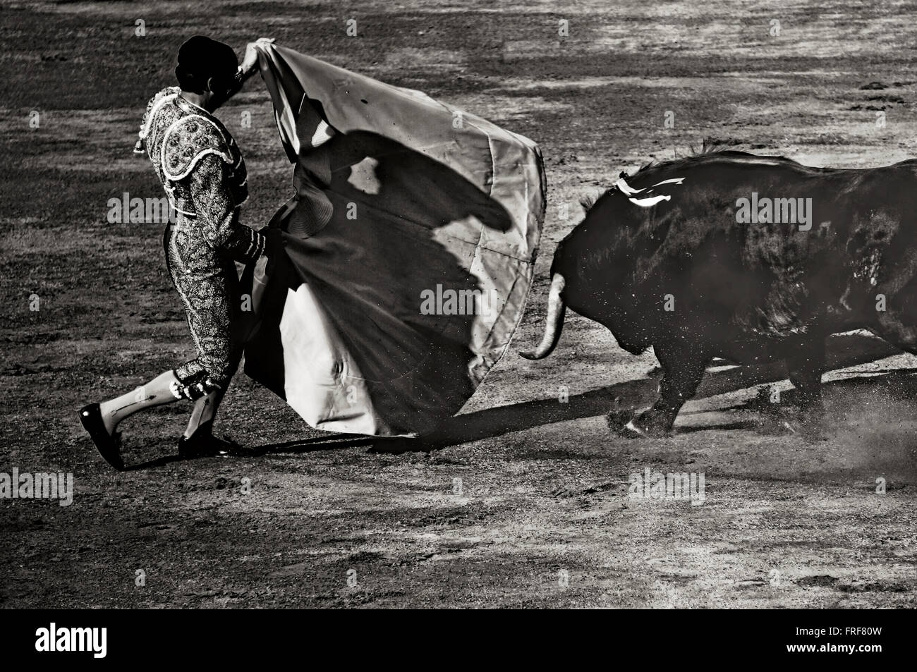 Stierkampf in Andalusien, Spanien - 05.11.2013 - Spanien / Andalusien / Jerez De La Frontera - Stierkampf in Andalusien, Spanien Stockfoto