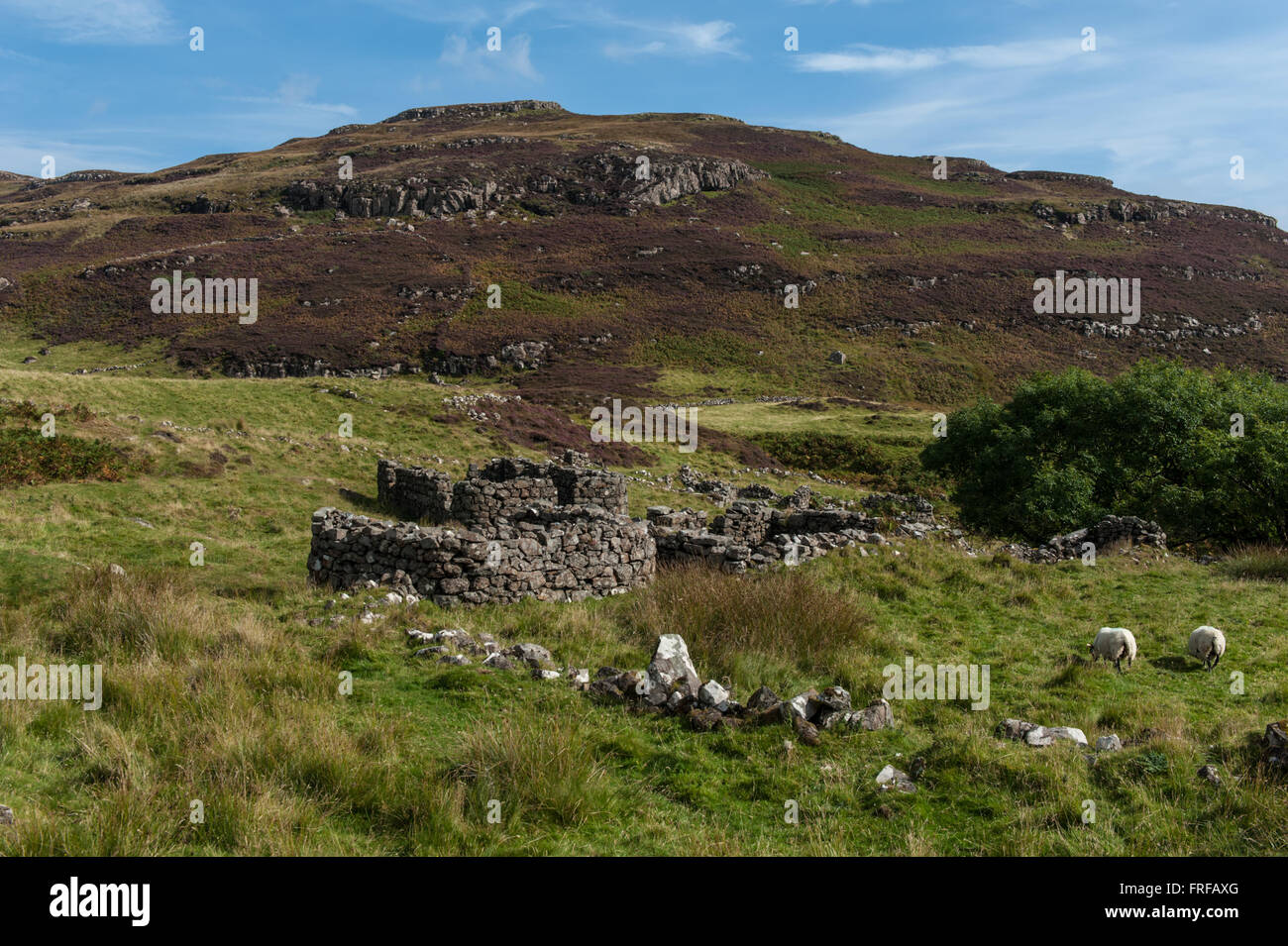 Das verlassene Dorf Crackaig auf der Isle of Mull, Schottland Stockfoto