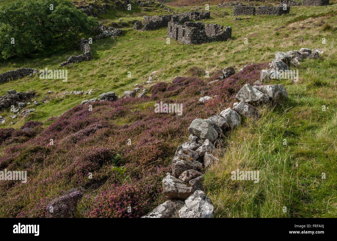 Das verlassene Dorf am Crackaig auf den Treshnish Penninusular Mull Schottlands Stockfoto