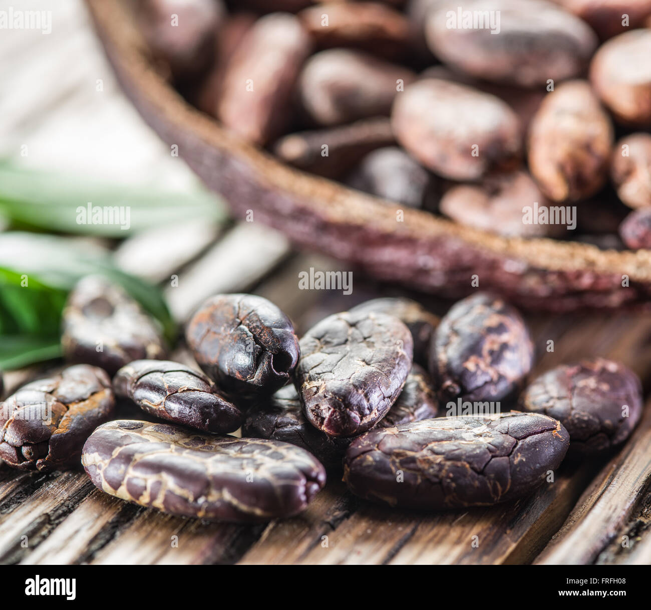 Kakaofrucht und Kakaobohnen auf dem Holztisch. Stockfoto