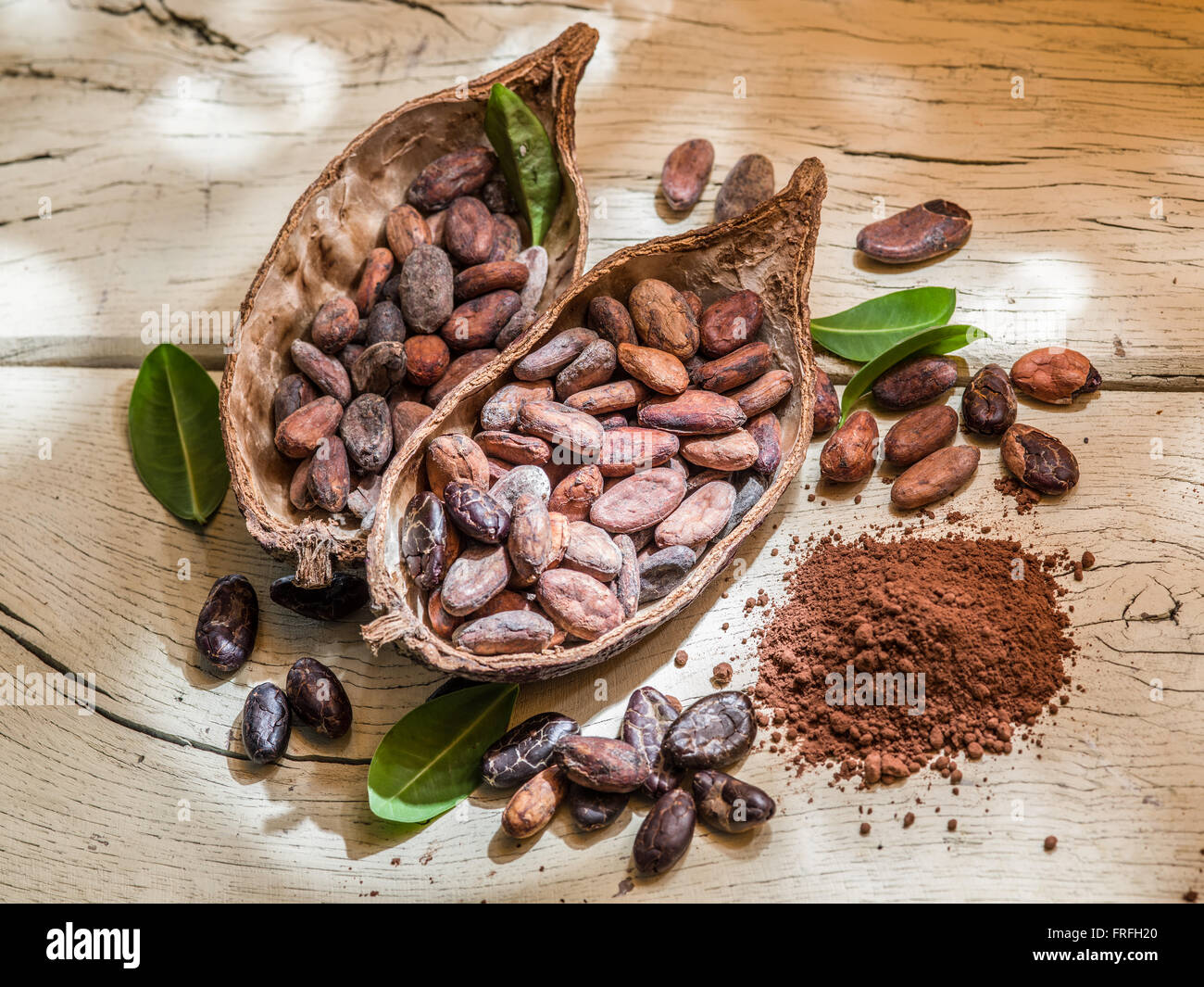 Kakaopulver und Kakaobohnen auf dem Holztisch. Stockfoto