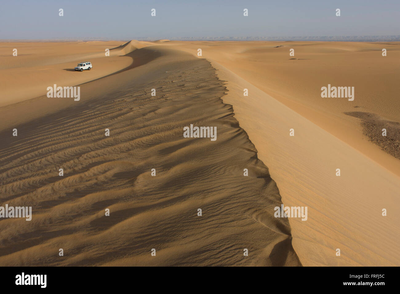 Eine Wüste Expeditionsmobil 4 x 4 klettert eine Sanddüne am al-Galamun, in der Nähe von Dahkla Oase, westliche Wüste, Ägypten. Die westliche Wüste umfasst eine Fläche von rund 700.000 km2, dadurch entfallen rund zwei Drittel der gesamten Landfläche Ägyptens. Dachla ist eines der sieben Oasen Ägyptens westlichen Wüste (Teil der libyschen Wüste). Es liegt im New Valley Governorate, 350 km (220 mi.) und misst ca. 80 km (50 Meilen) von Ost nach West und 25 Kilometer (16 Meile) von Norden nach Süden. Stockfoto