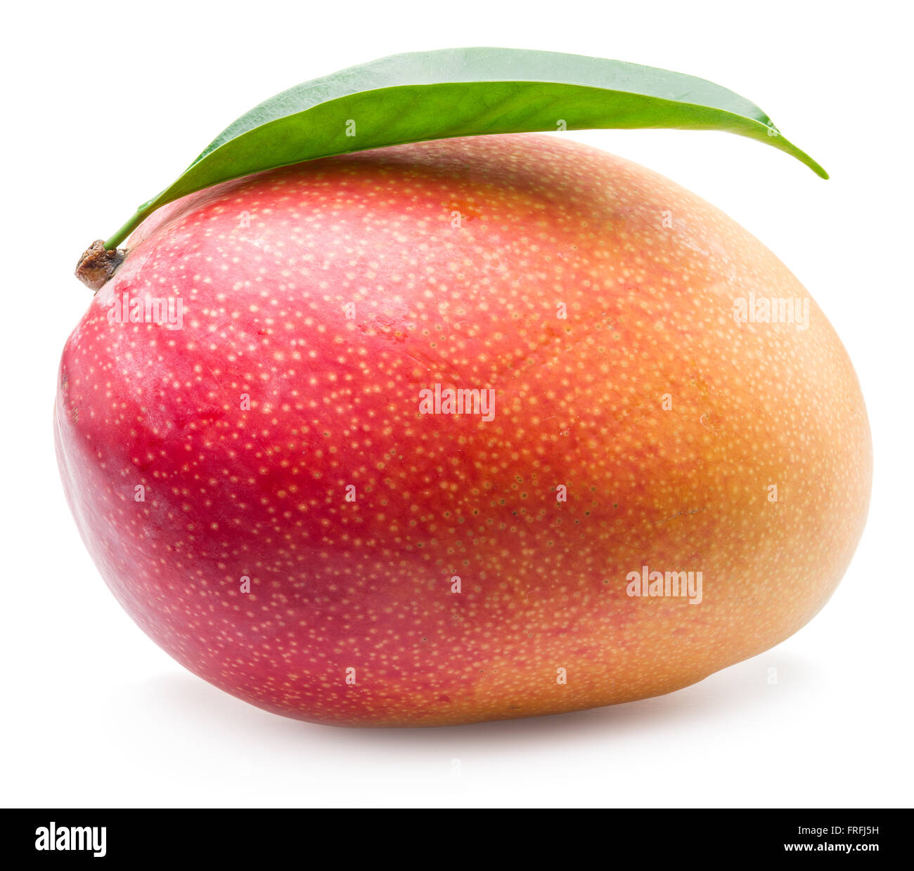 Mango-Frucht mit Blatt auf dem weißen Hintergrund isoliert. Das Bild von hoher Qualität. Stockfoto