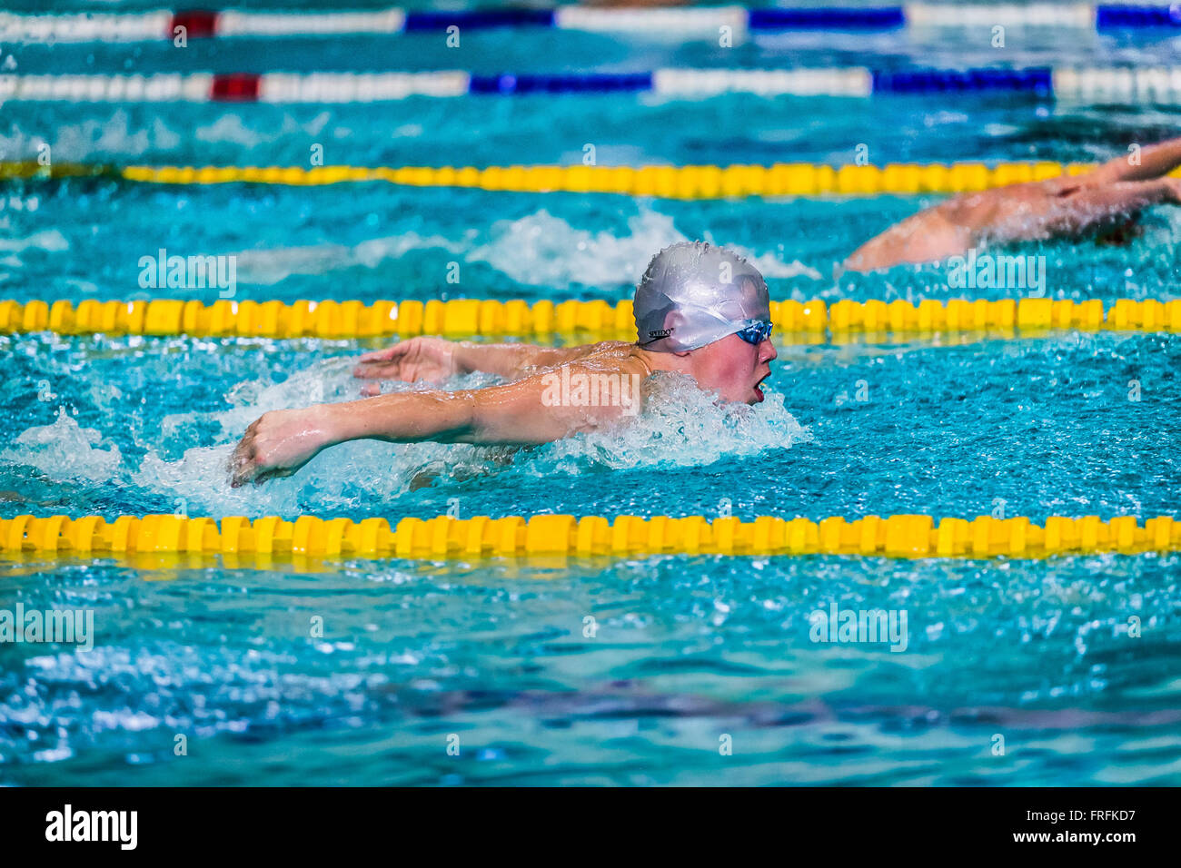 junge Sportler Schwimmer an ein Abstand Schmetterling während internationale schwimmen Turnier Stockfoto