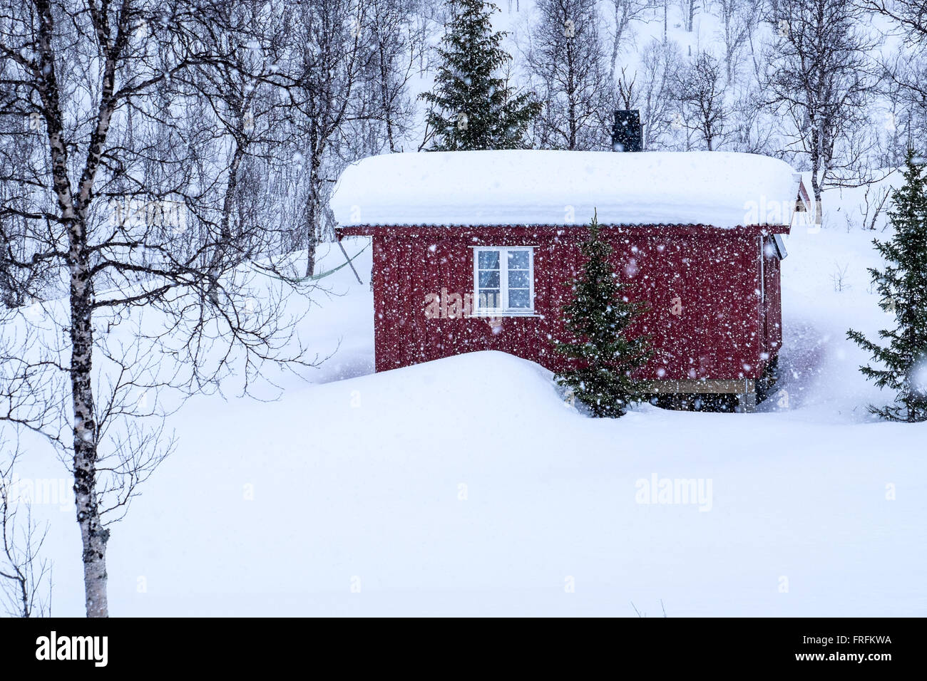Kabine in den norwegischen Wäldern im Tiefschnee Stockfoto