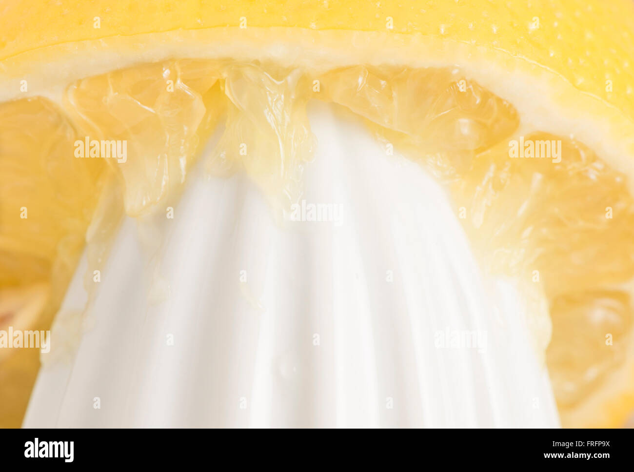 Zitrone und Saftpresse in extremer Nahaufnahme. Konzept der Zubereitung von Speisen und Kochen mit frischen Früchten. Stockfoto