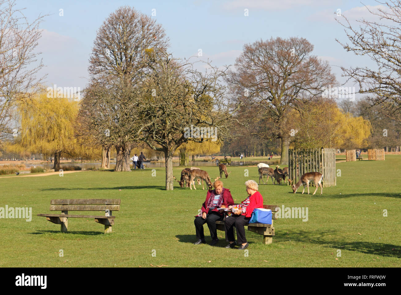 Bushy Park, London, UK. 22. März 2016. Es war ein warmer 14 ° c, mit blauem Himmel und Sonnenschein, wie diese beiden Damen ein Picknick im Bushy Park, London, UK genießen. Bildnachweis: Julia Gavin UK/Alamy Live-Nachrichten Stockfoto