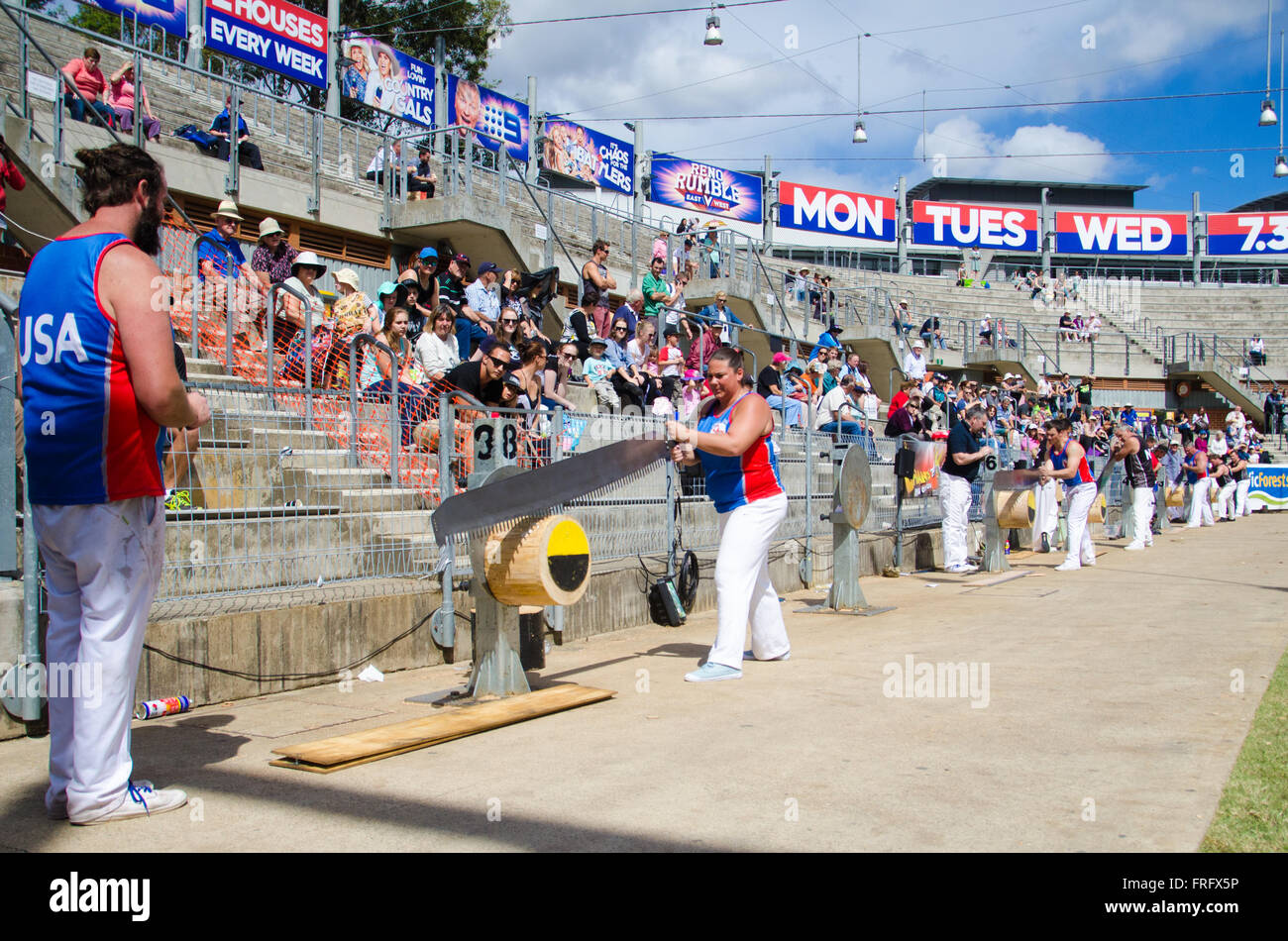 Sydney, Australien 22. März 2016: The Sydney Royal Easter Show kommt in die Stadt in der Vorstadt von Sydney Olympic Park. Der Jahresausstellung, organisiert von der königliche landwirtschaftliche Gesellschaft der neue South Wales (RAS) läuft vom 17.-30. März 2016. Abgebildet ist die Sägen Wettkämpfe während der Show stattfand. Bildnachweis: Mjmediabox Alamy Live News Stockfoto