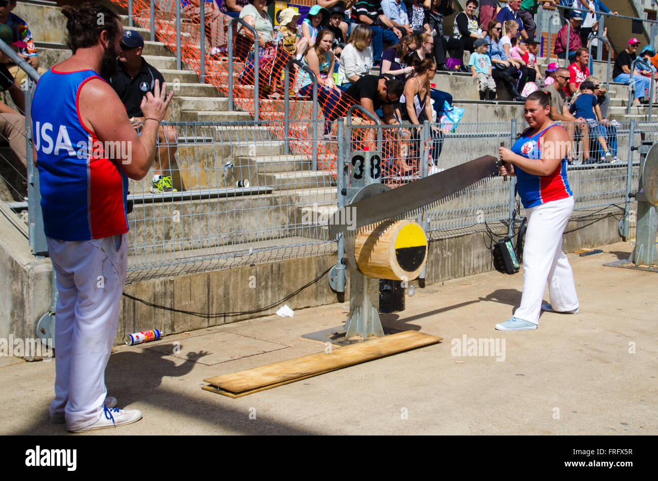 Sydney, Australien 22. März 2016: The Sydney Royal Easter Show kommt in die Stadt in der Vorstadt von Sydney Olympic Park. Der Jahresausstellung, organisiert von der königliche landwirtschaftliche Gesellschaft der neue South Wales (RAS) läuft vom 17.-30. März 2016. Abgebildet ist die Sägen Wettkämpfe während der Show stattfand. Bildnachweis: Mjmediabox Alamy Live News Stockfoto