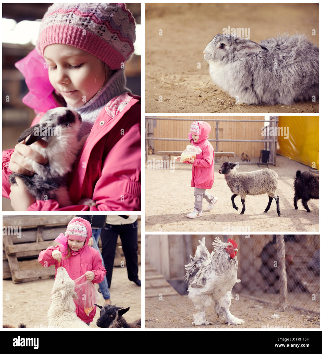 Kleines Mädchen auf einem Bauernhof mit Tieren Stockfoto