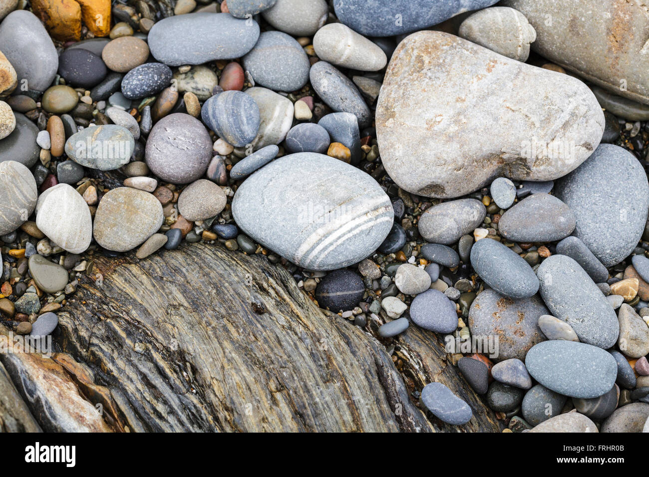 Nahaufnahme von Kieselsteinen an einem Strand in Wales UK Stockfoto
