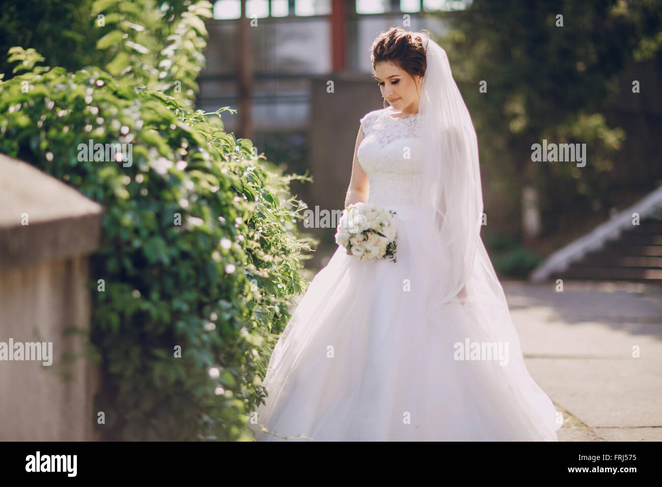 Hochzeit Tag HD Stockfoto