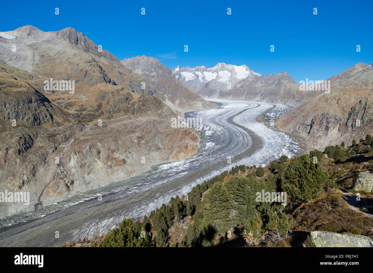 Gröberen Aletschgletschers, der längste Gletscher in den Alpen an einem sonnigen Herbsttag. Valais/Wallis, Schweiz. Stockfoto