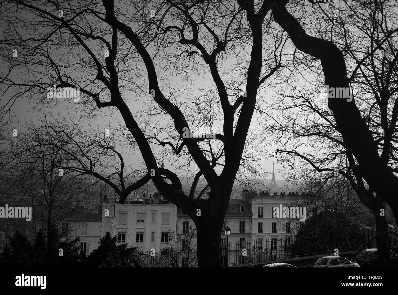 Blick auf den Eiffelturm von Sacre Coeur Stockfoto