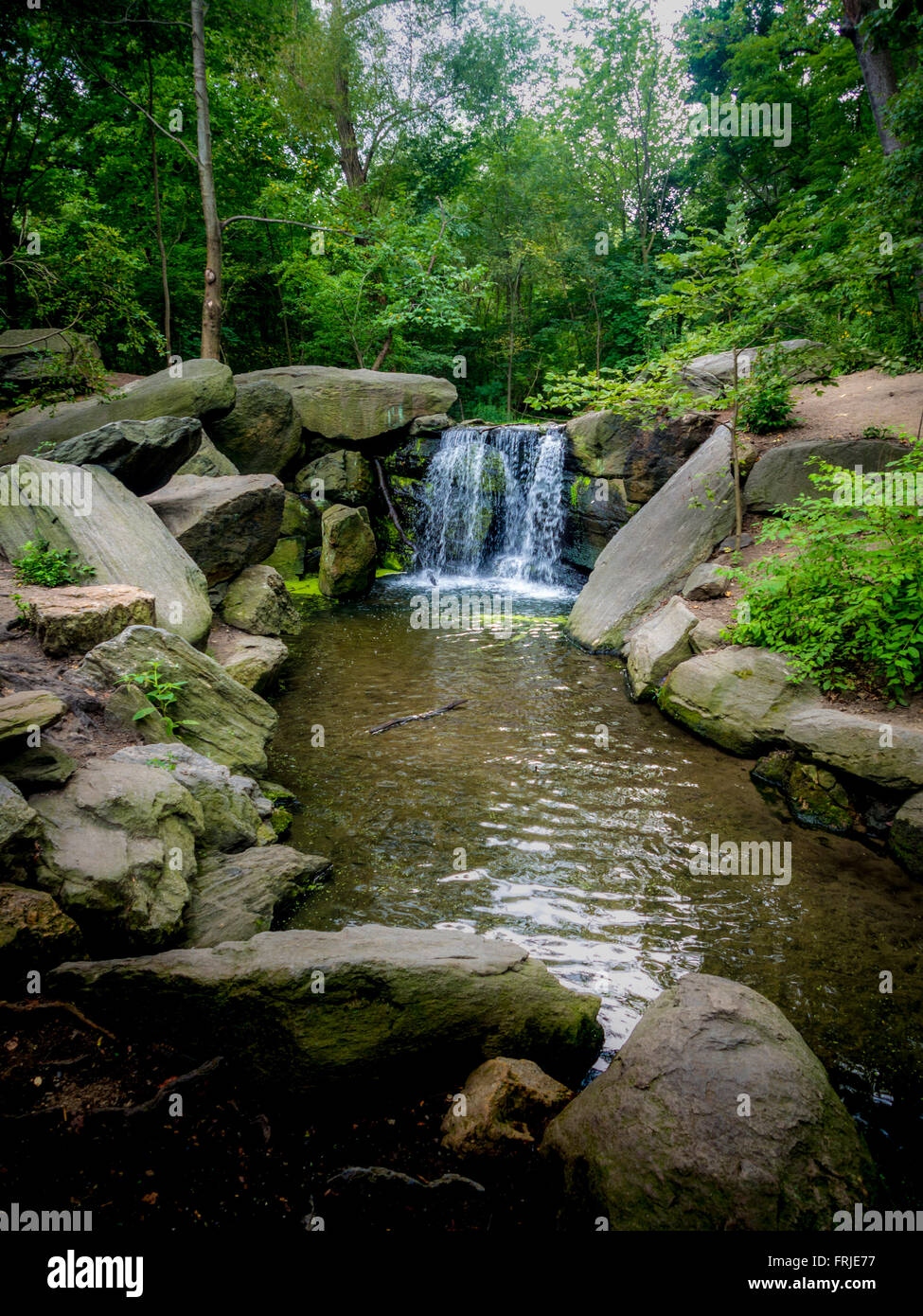 Wasserfall im Wald nördlich des Central Park, New York City, USA Stockfoto