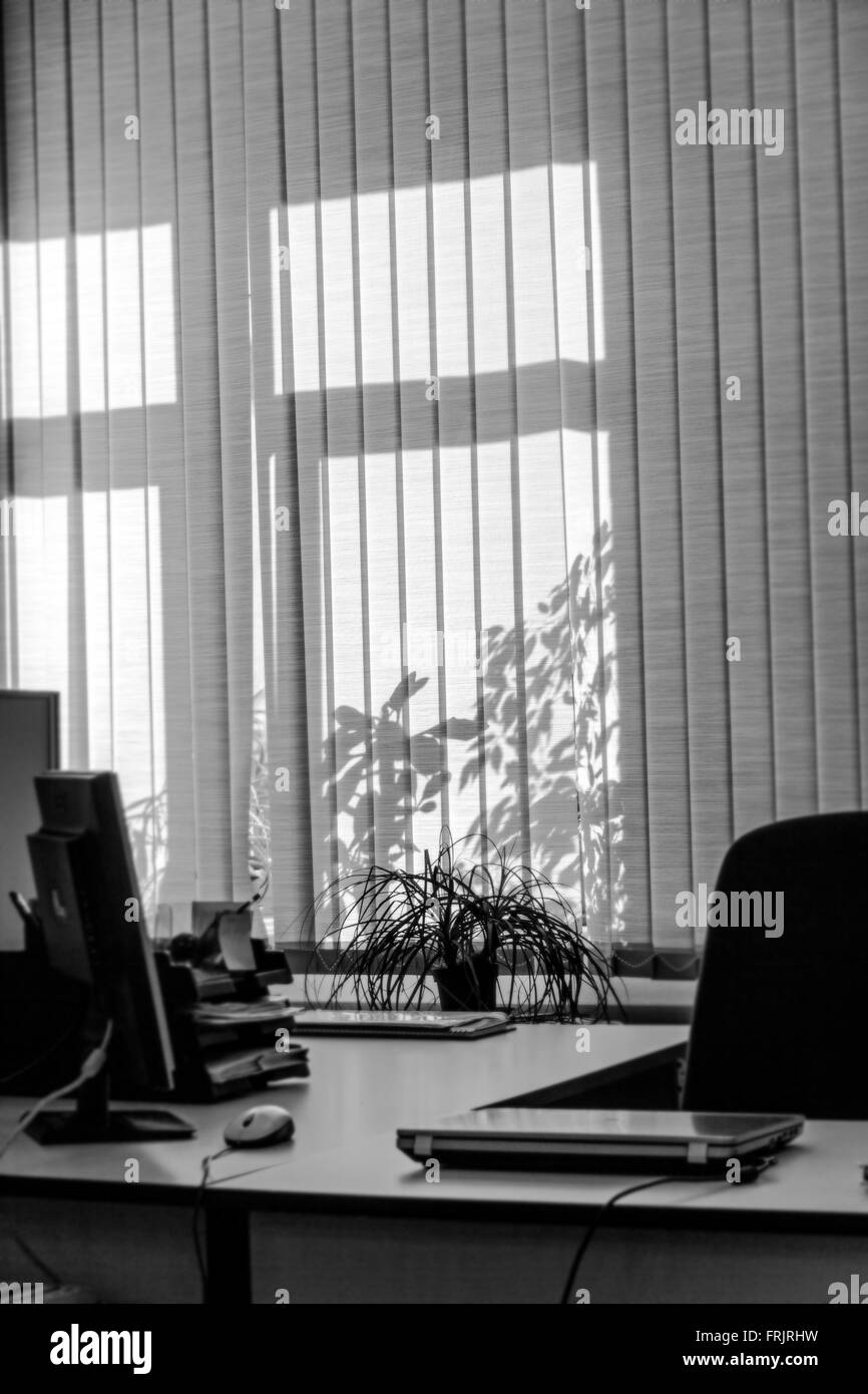 Jalousien im Sonnenlicht im Büro in schwarz / weiß Stockfoto