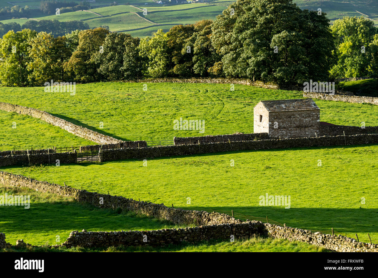 Trockenmauer und einen Stein gebaut, Scheune, in der Nähe von Askrigg, Wensleydale, Yorkshire Dales, England, UK Stockfoto