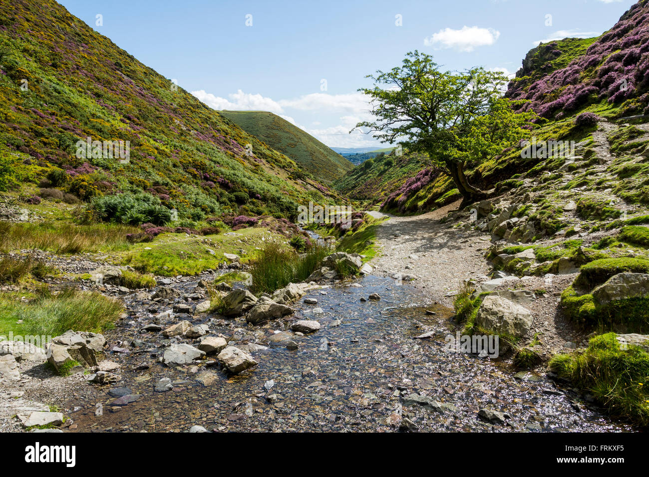 Einen Fluss in der Carding Mill Valley auf dem Long Mynd Grat, in der Nähe von Kirche Stretton, Shropshire, England, UK Stockfoto