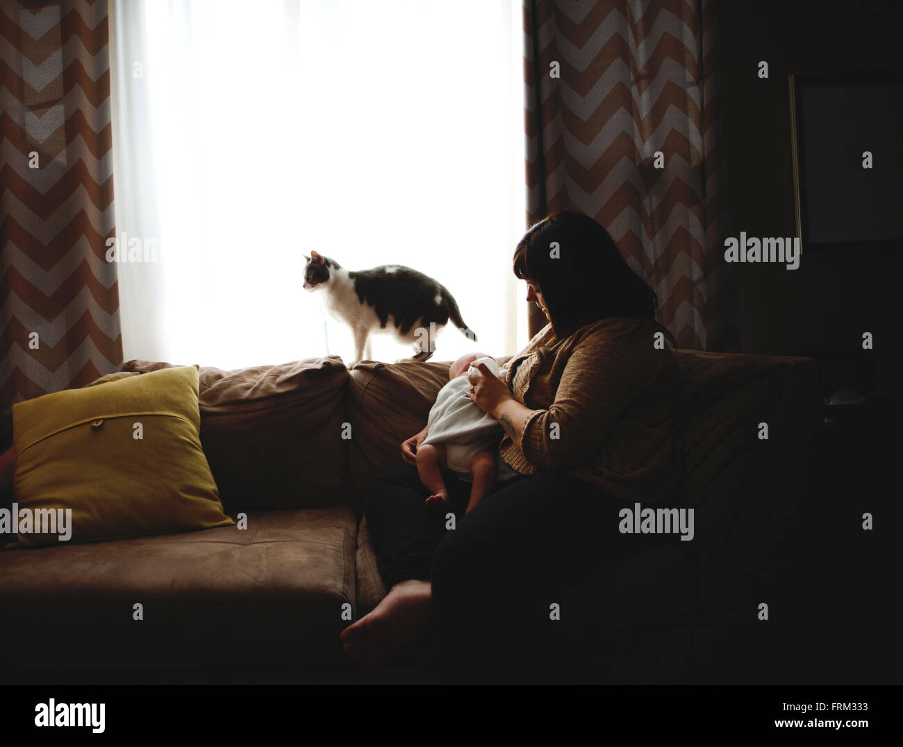 Mutter füttert Baby junge auf der Couch an einem Fenster. Haustier Katze ist auf der Rückseite der Couch. Stockfoto