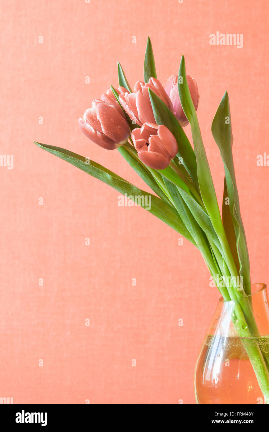 Strauß Blumen Tulpen in Vase, Textfreiraum, Pastell-Farben Stockfoto