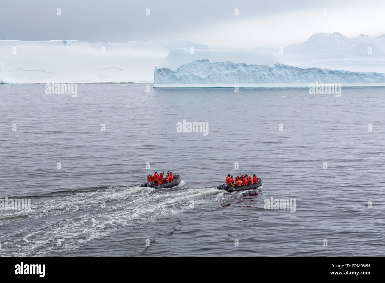Mitglieder der uns Palmer Forschungsstation auf Tierkreiszeichen in der Nähe von Anvers Island, antarktische Halbinsel, Antarktis. Stockfoto