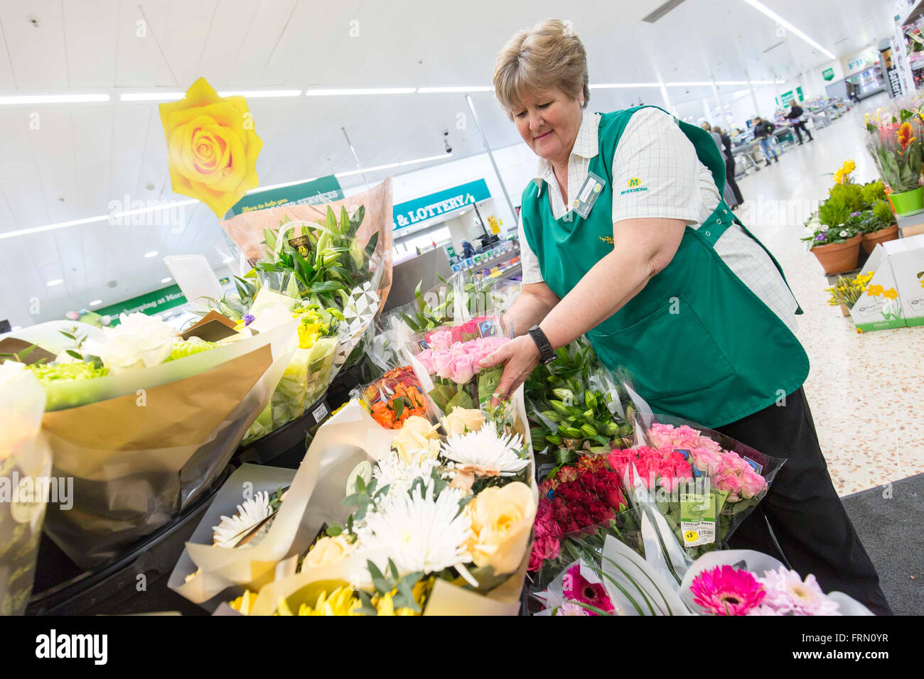 eine Frau arbeitet im Abschnitt Blume eine Safeway-Supermarkt Stockfoto