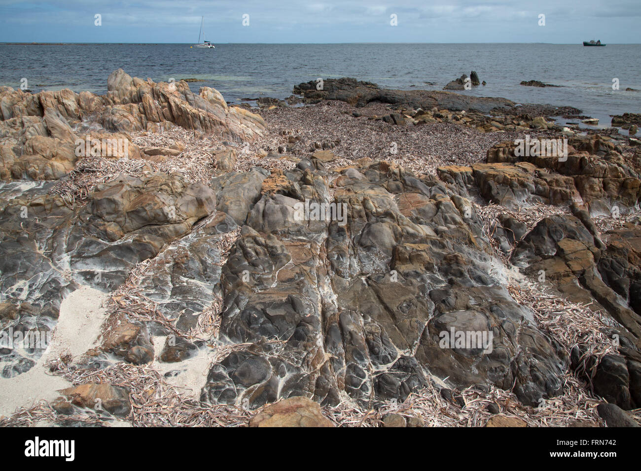 vulkanische Felsen am Strand mit Sand und Algen und Schiffe auf dem Wasser, Geologie Trail Port Victoria Australien Stockfoto