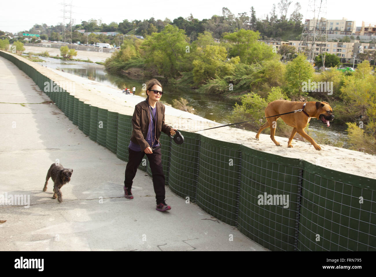 Spaziergang mit dem Hund, Glendale, Kalifornien, USA Stockfoto