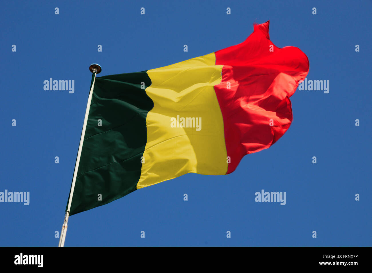 Belgische Flagge flattern in einer lebhaften Brise gegen ein strahlend blauer Himmel. Stockfoto