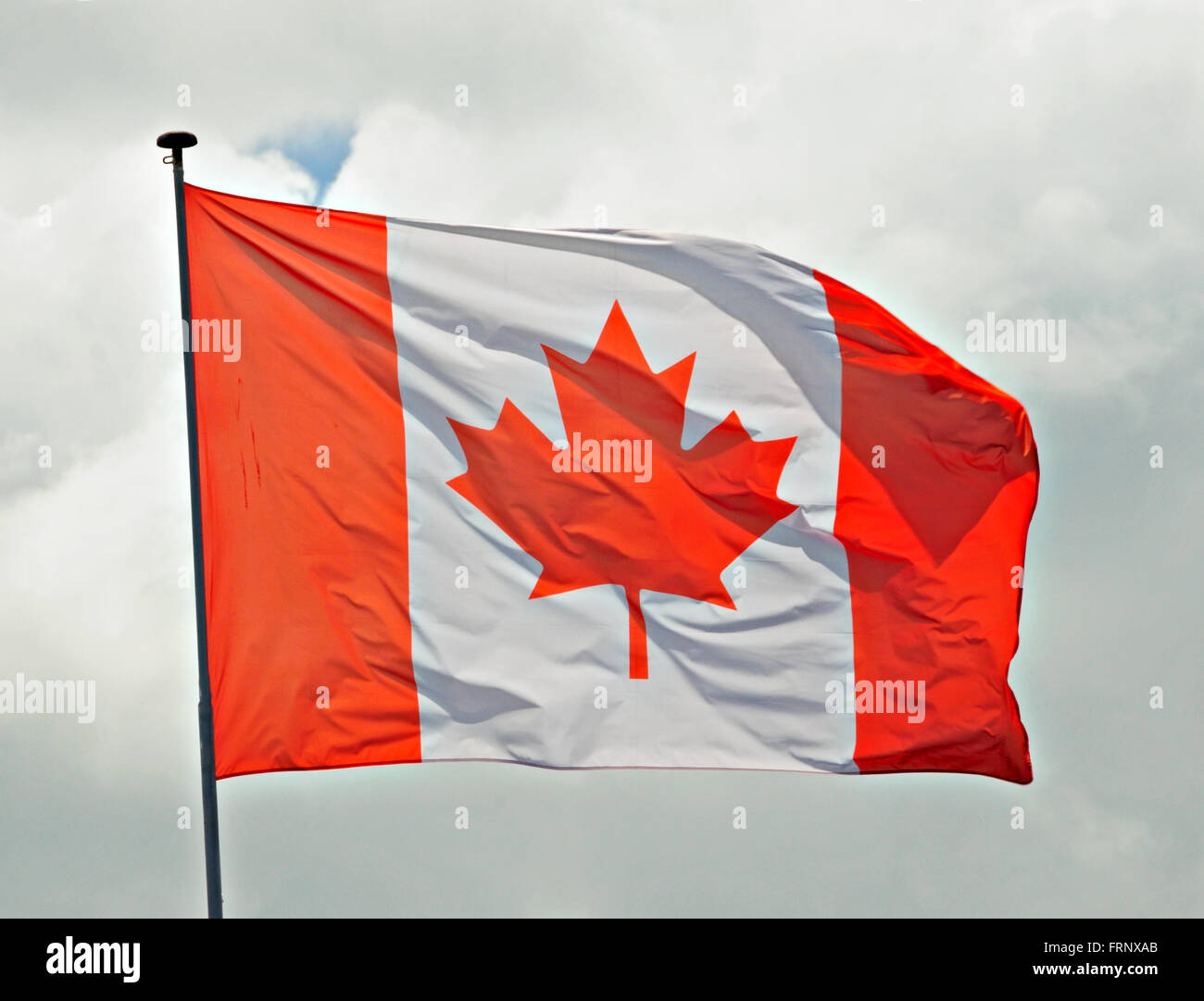 Kanadische Flagge flattern in einer lebhaften Brise. Stockfoto