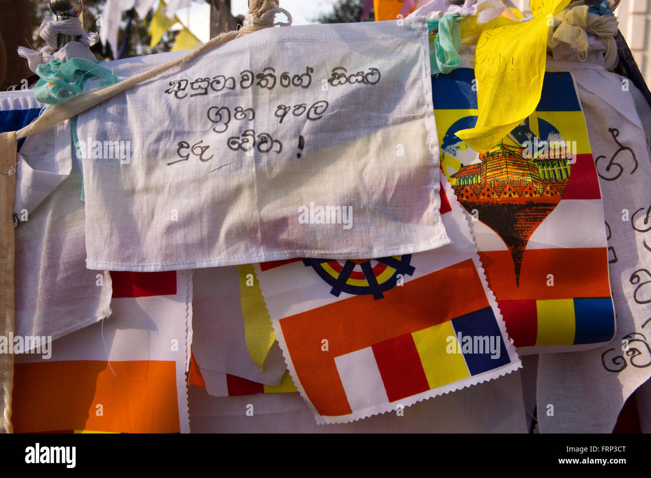 Sri Lanka, Anuradhapura, Sri Maha Bodi Tempel, Fahnen Gebet verbunden, um heilige Bo-Baum Stockfoto