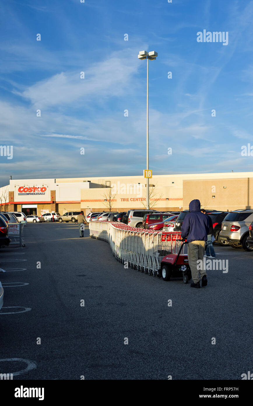 Costco shopping Cart Sammler Einkaufswagen über den Parkplatz zu Costco Supermarkt zurückschieben Stockfoto