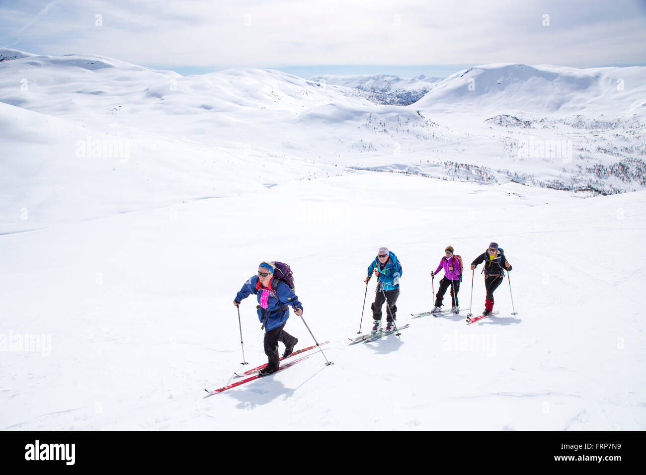 Vier Backcountry Skifahrer gehen auf einen Berg in der Nähe des Skigebiets Myrkdalen in Fjord Norwegen. Stockfoto
