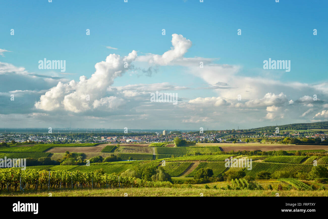 Zwei Cloud-Systeme verbinden in Bogen Form über Weinberge in Deutschland. Stockfoto
