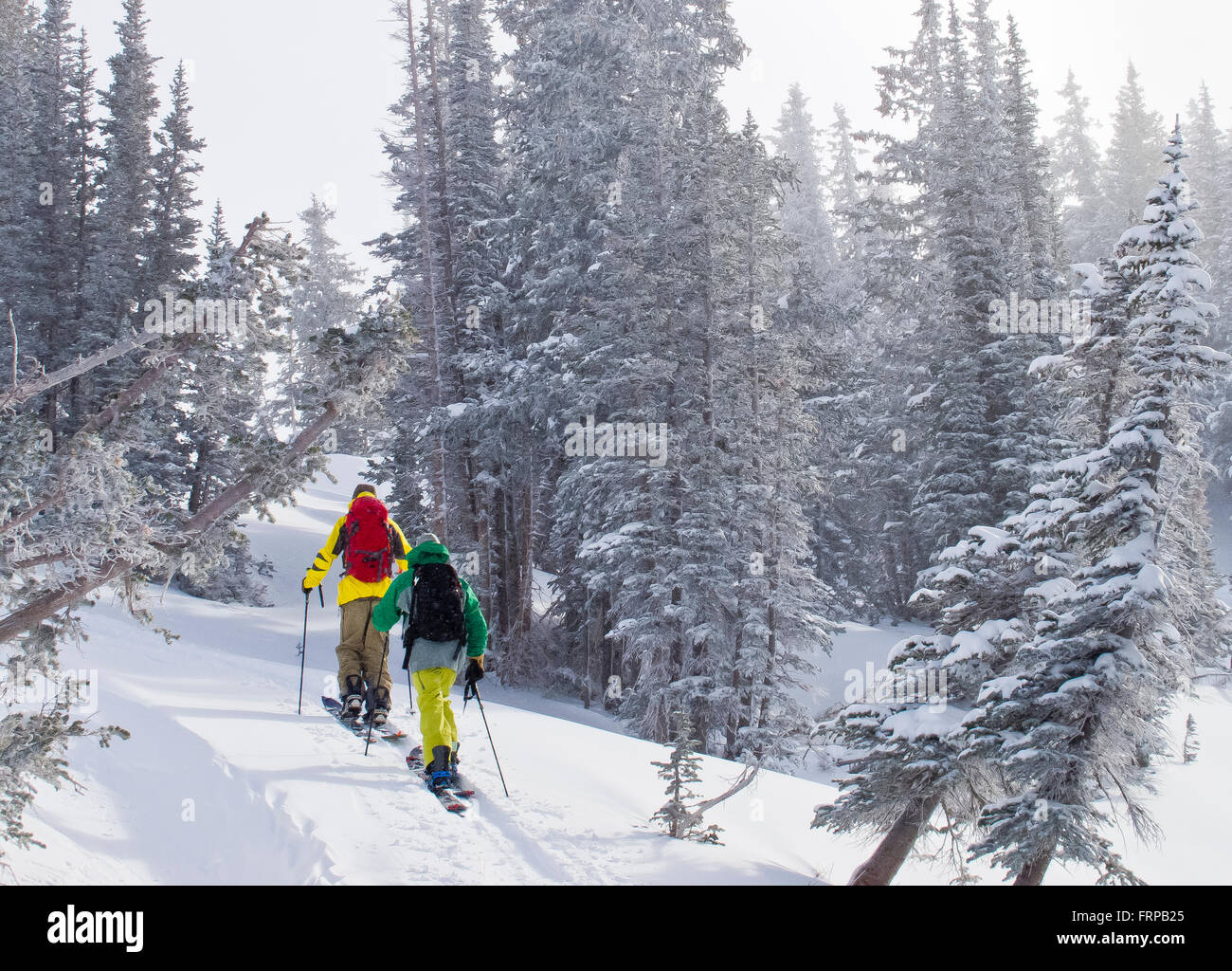 Backcountry-Spiitboarders Stockfoto