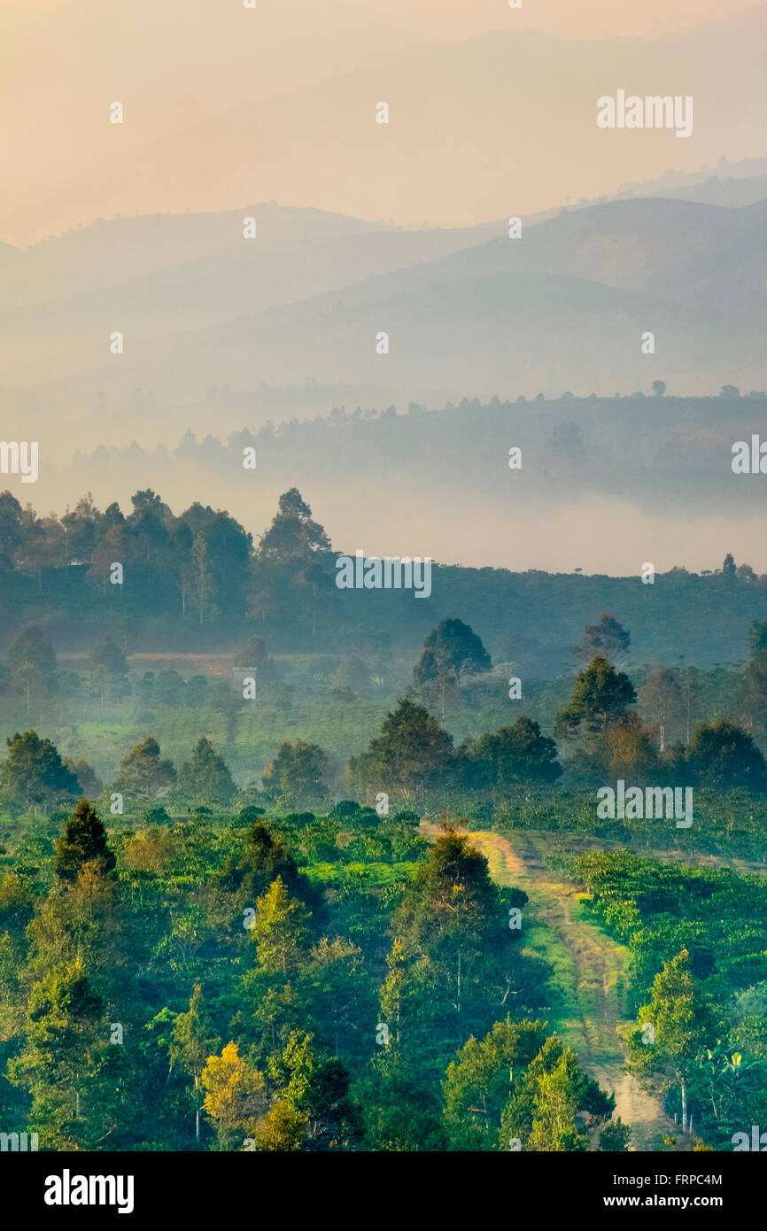 Nebel über Hügel und Kaffee-Plantagen in Hue, Vietnam Stockfoto