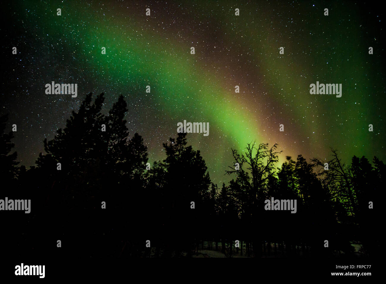 Nordlichter in Lappland Stockfoto