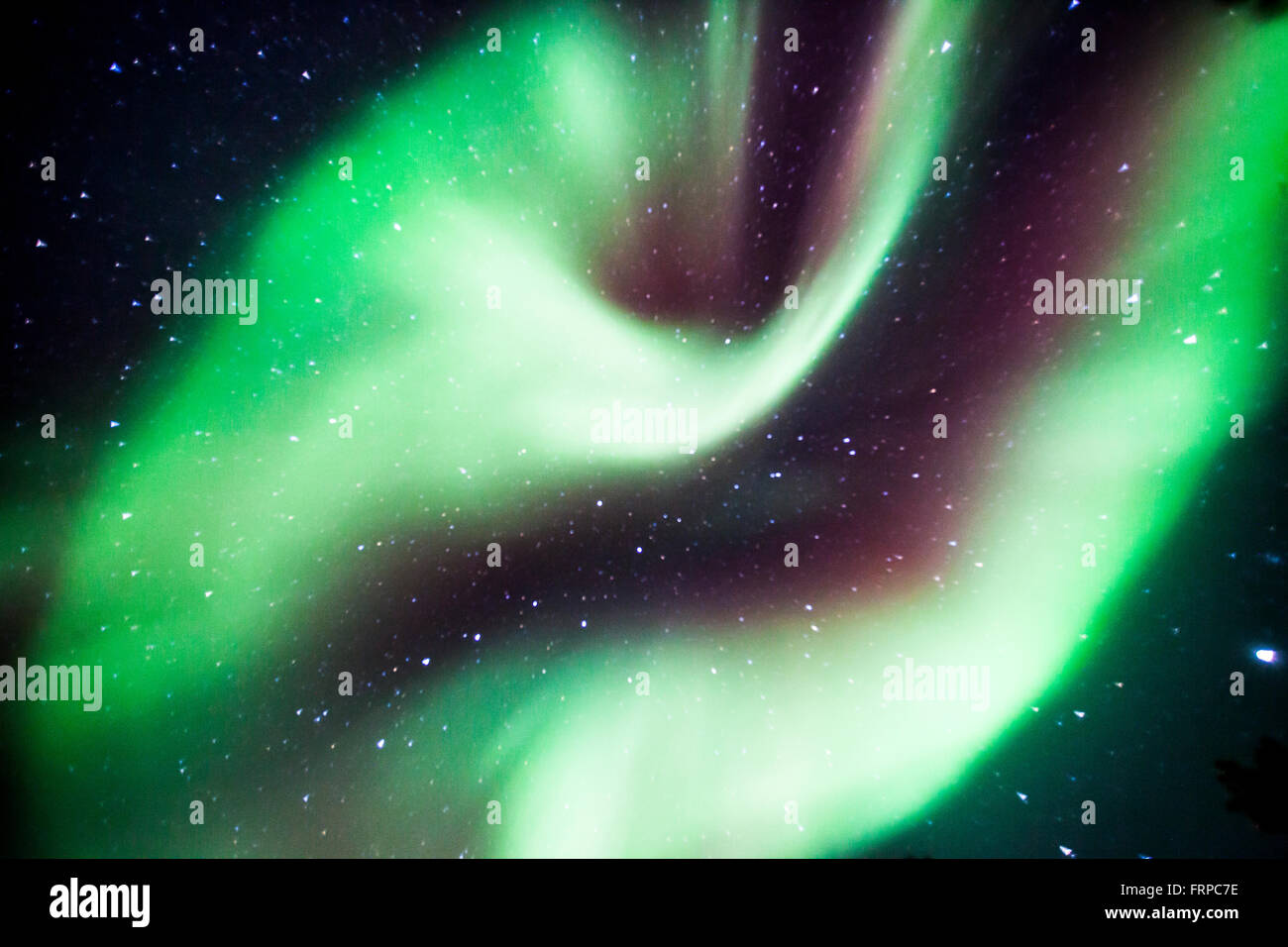 Nordlichter in Lappland Stockfoto