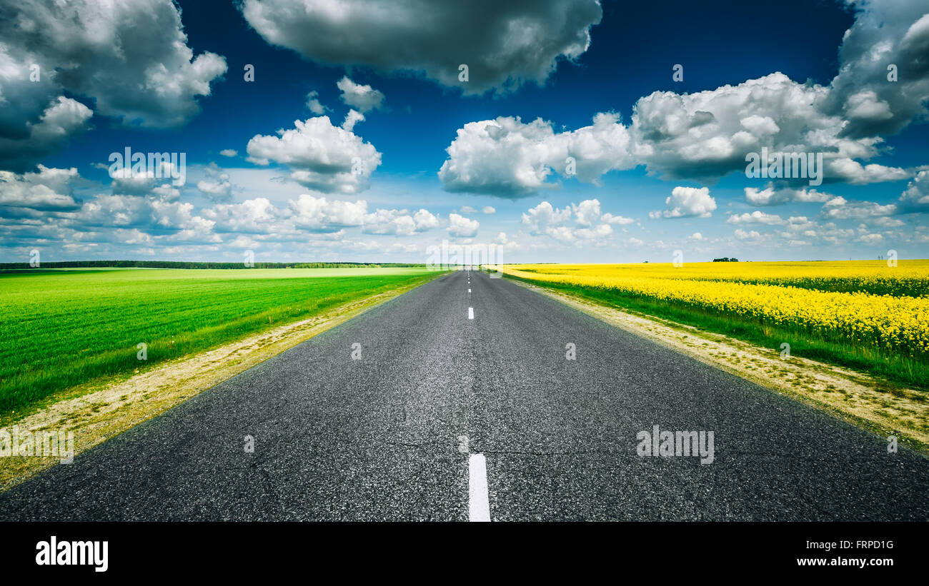 Leere Landschaft Asphaltstraße durch Felder mit gelb blühenden Raps Rapecolza und wachsenden grünen Weizen im Frühjahr. Sonnigen Da Stockfoto