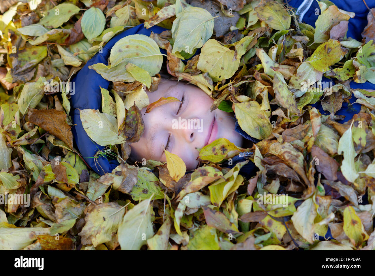 Junge liegend im Herbstlaub, Bayern, Deutschland Stockfoto