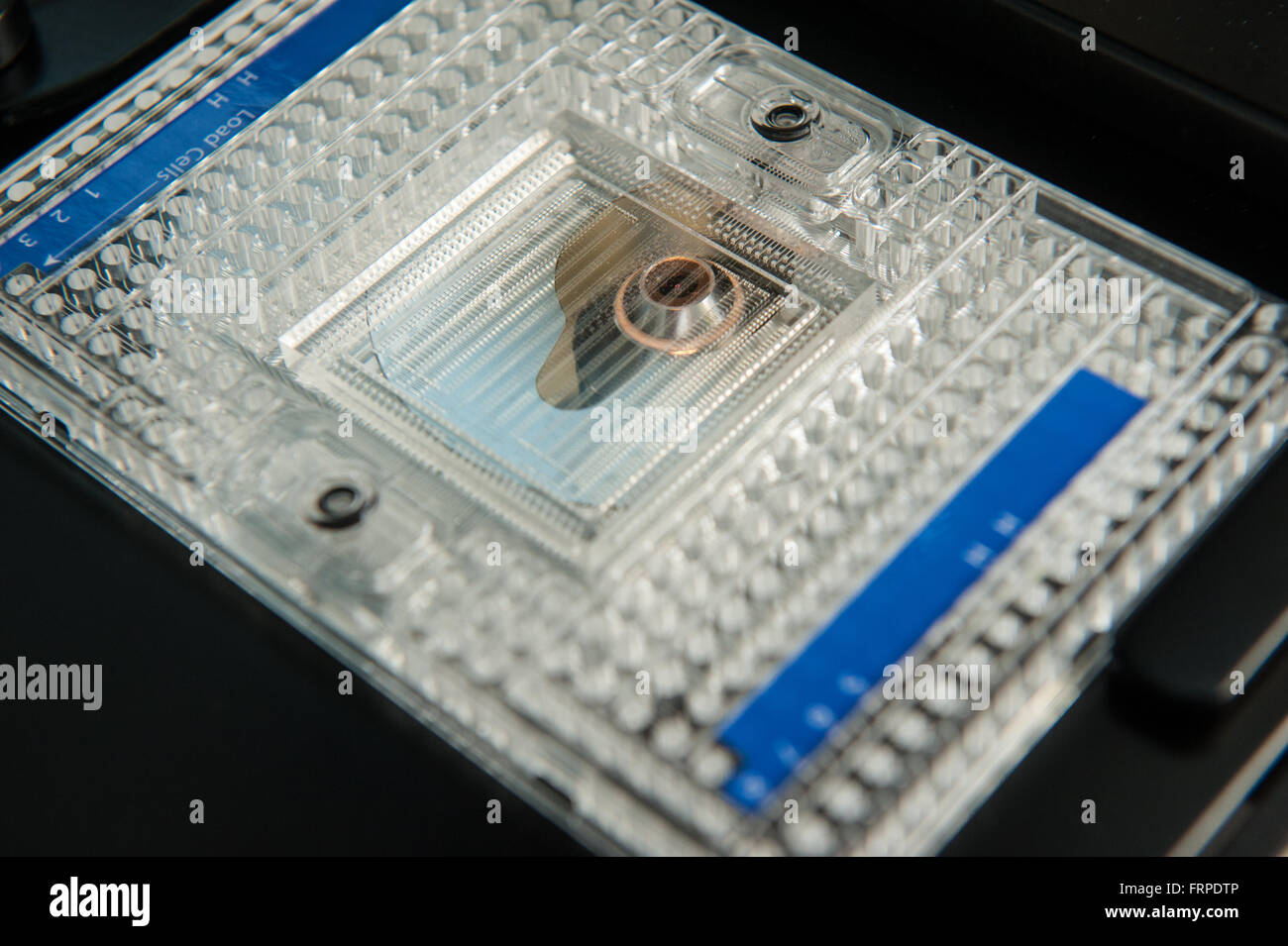 Biologie, Biotechnologie, chemische, biologische, Chemiker, heilen, entdecken, Entdeckung, Arzt, Experiment, experimentell, Experti Stockfoto