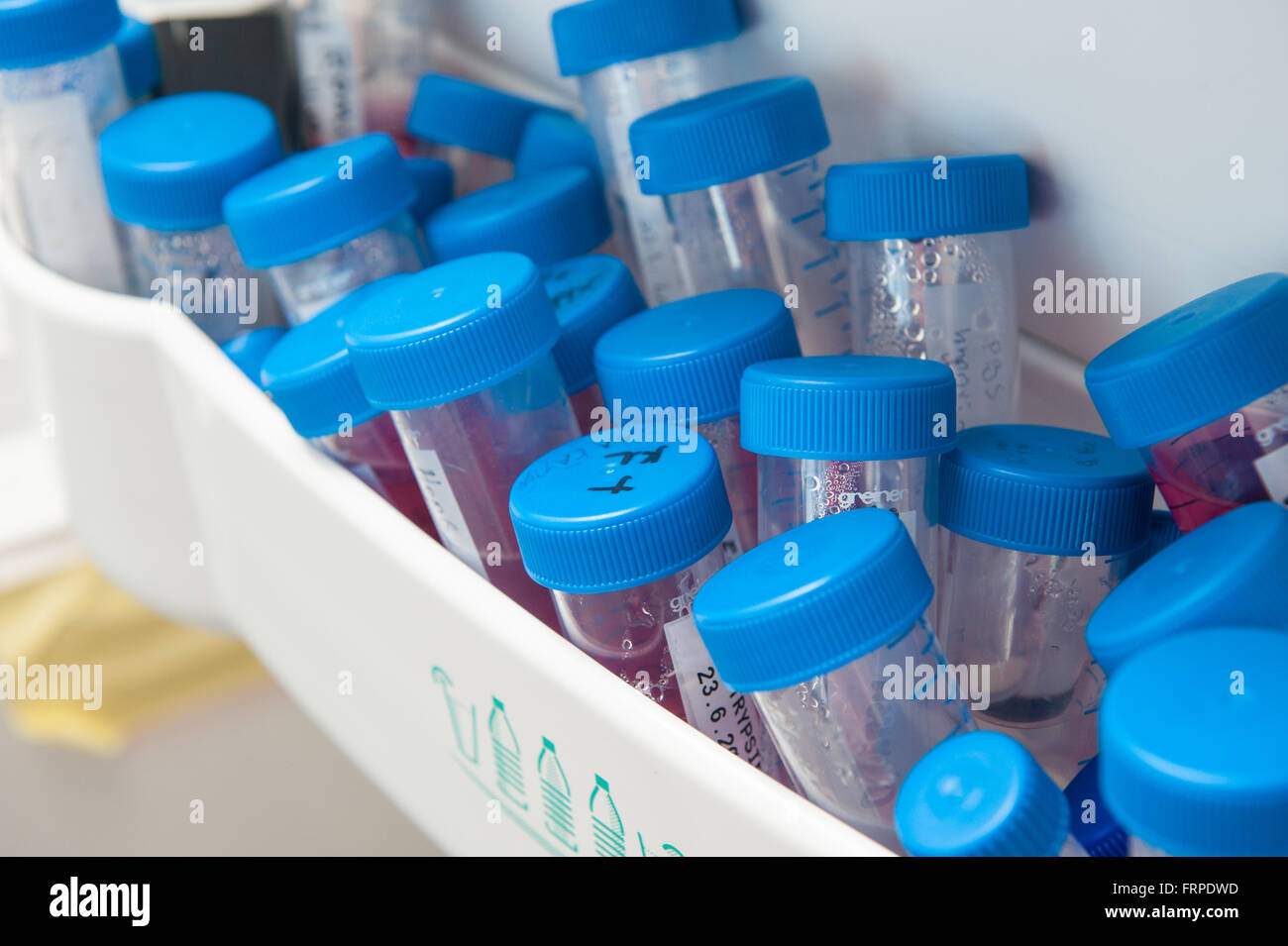 Biologie, Biotechnologie, chemische, biologische, Chemiker, heilen, entdecken, Entdeckung, Arzt, Experiment, experimentell, Experti Stockfoto