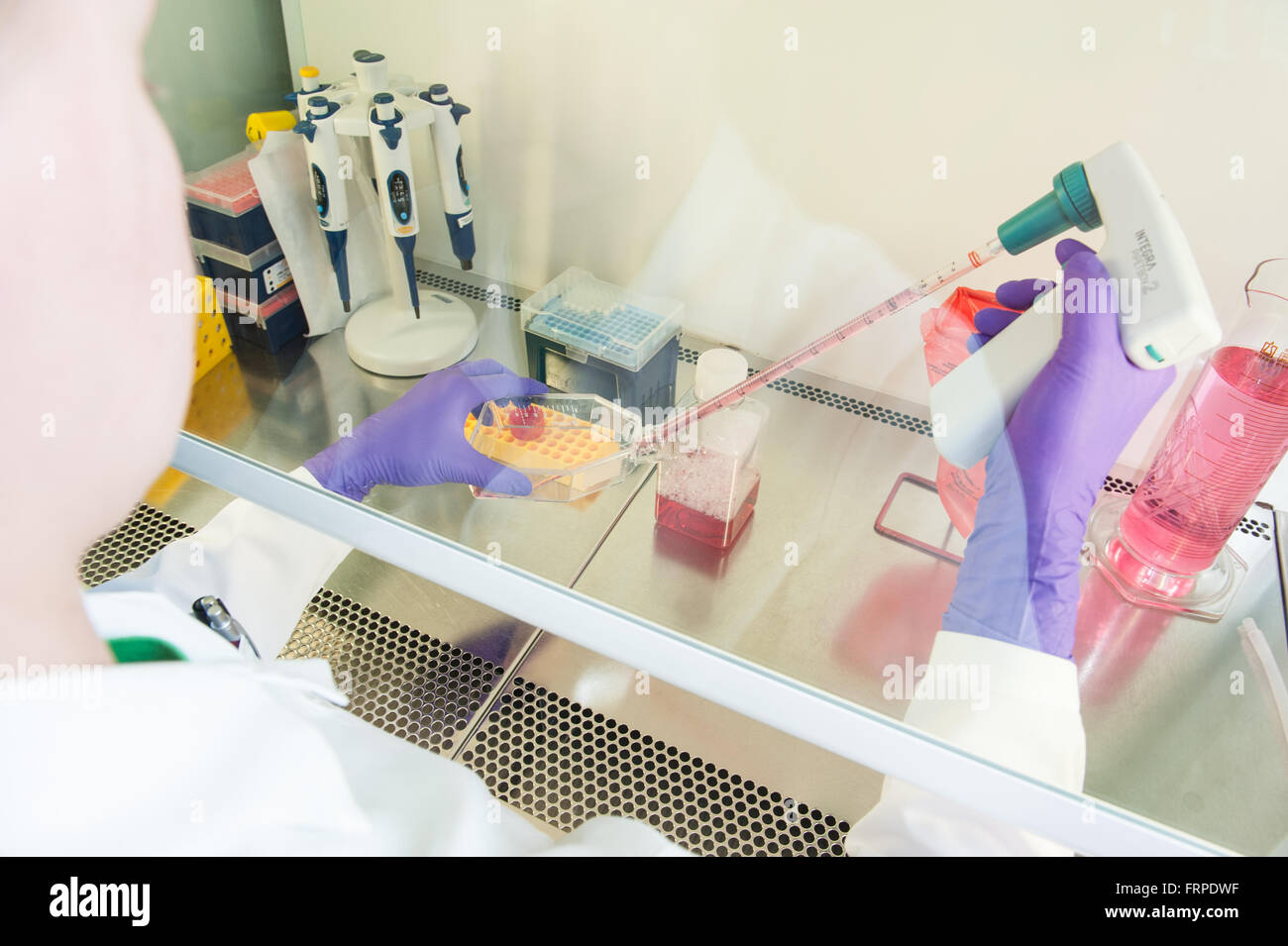 Biologie, Biotechnologie, chemische, biologische, Chemiker, heilen, entdecken, Entdeckung, Arzt, Experiment, experimentell, Experti Stockfoto