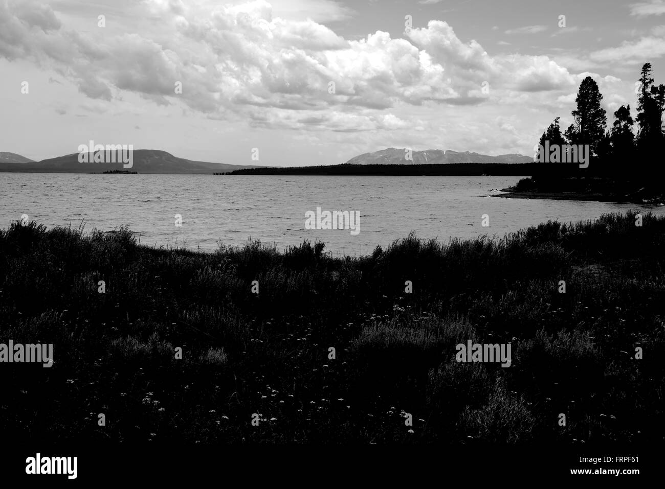 Yellowstone Lake in schwarz / weiß Stockfoto