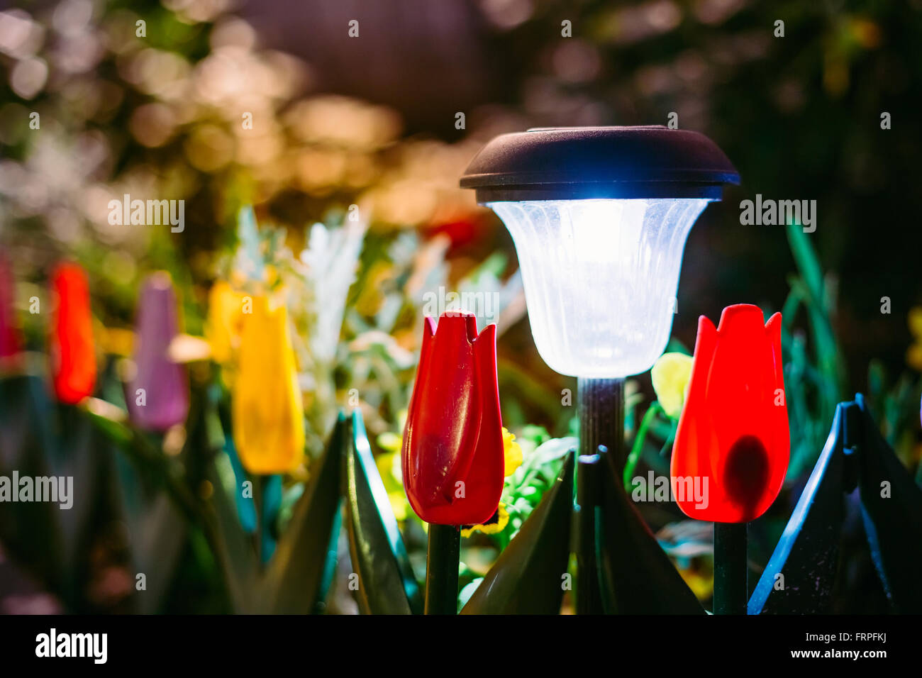 Nahaufnahme Von Kleinen Solar Garten Licht Laternen Im Blumenbeet