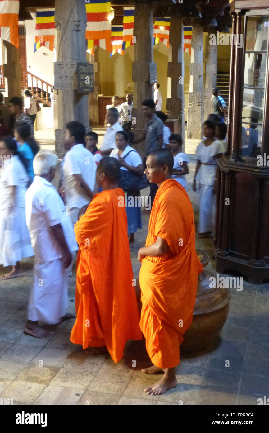 Ein buddhistischer Mönch auf warteten Pilger an den Zahntempel in Kandy, Sri Lanka Stockfoto