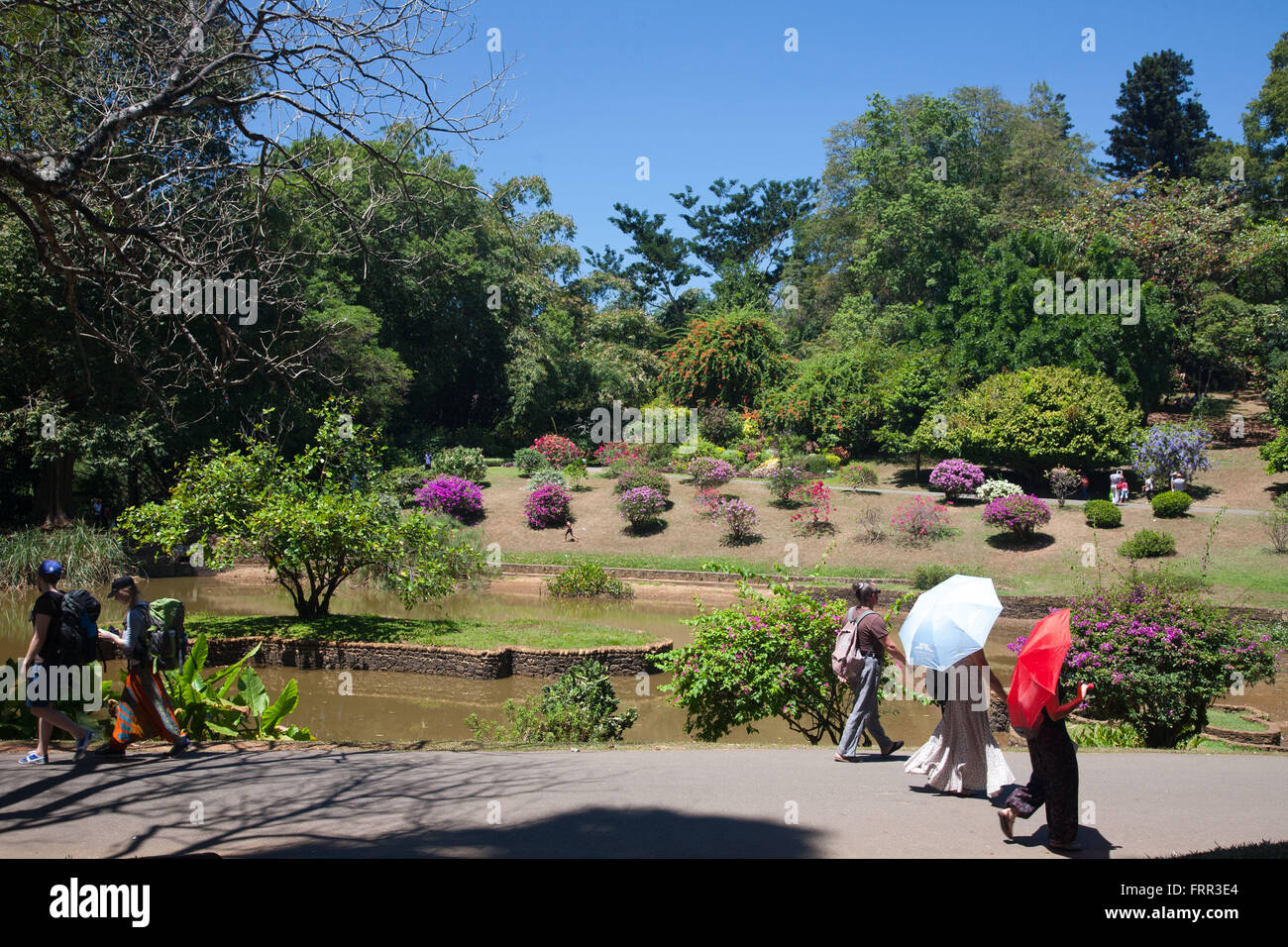 Peradeniya botanischer garten Fotos und Bildmaterial in hoher