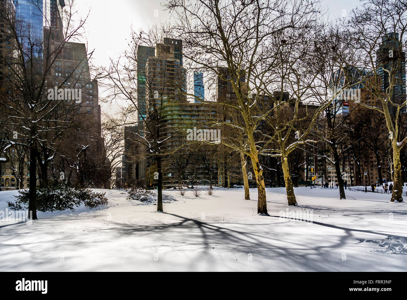Central Park im Winter in Schnee bedeckt, New York City, USA. Stockfoto